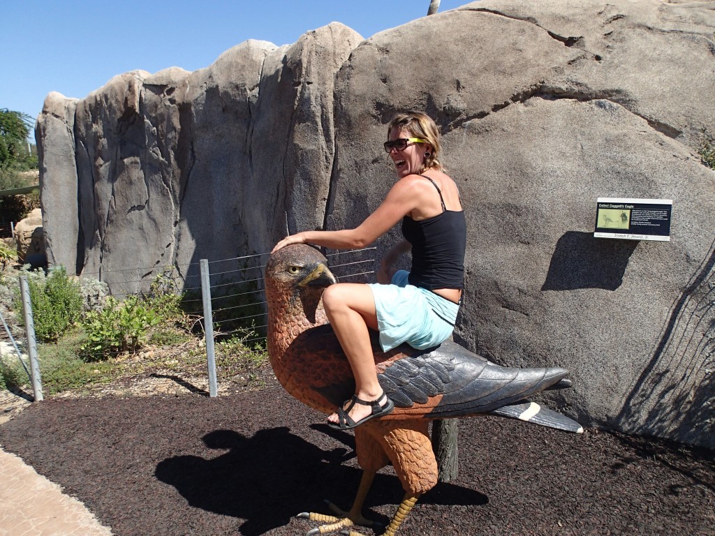 Miya at the San Diego Zoo, riding an eagle.