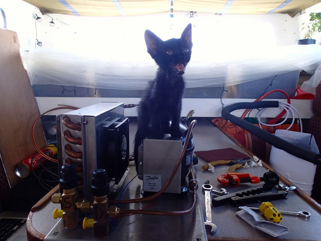 Alice assisting with the refrigerator build project