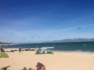 kites in La Ventana